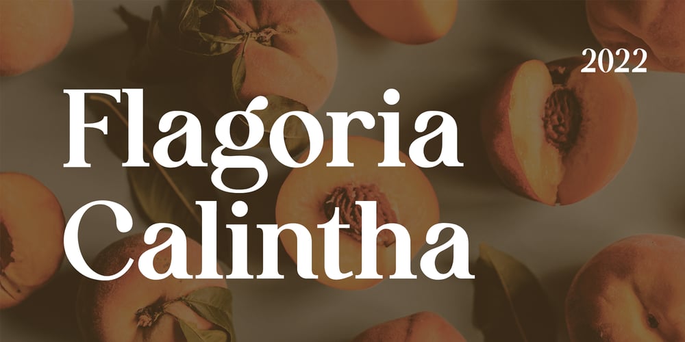 Flagoria Calintha font