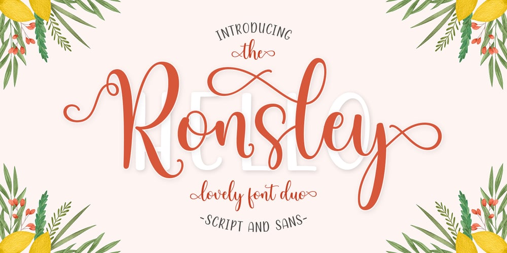 Ronsley Font Duo font