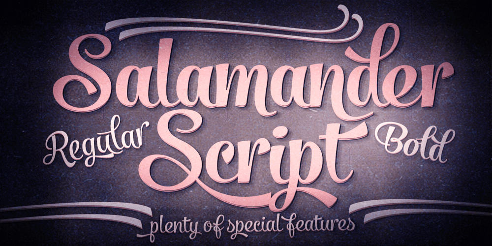 Salamander font