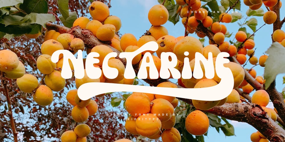 Nectarine font