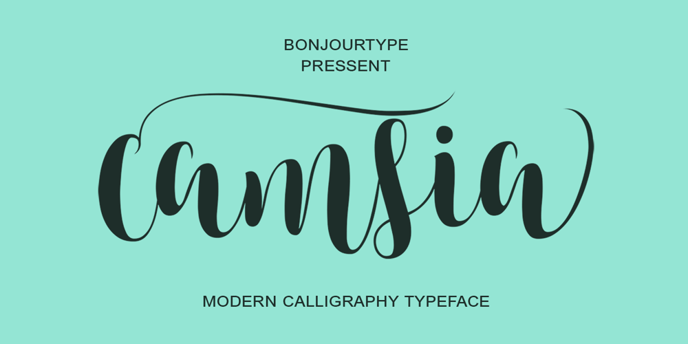 Camsia font