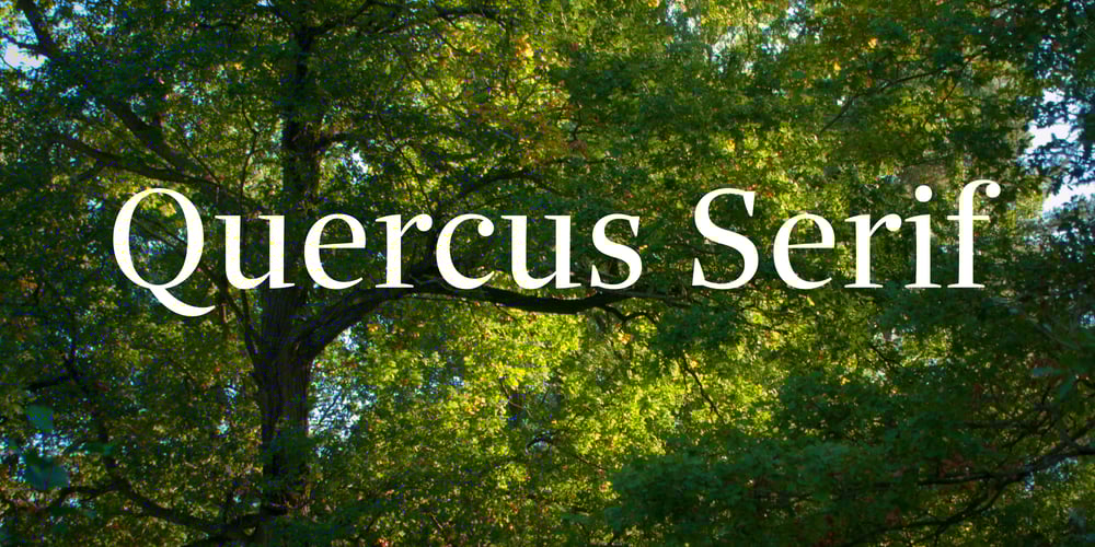 Quercus Serif font