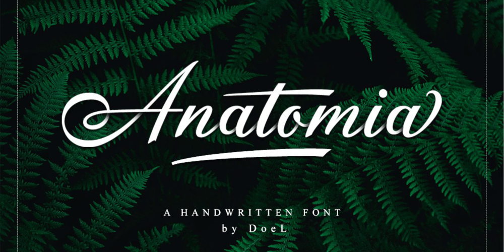 Anatomia font