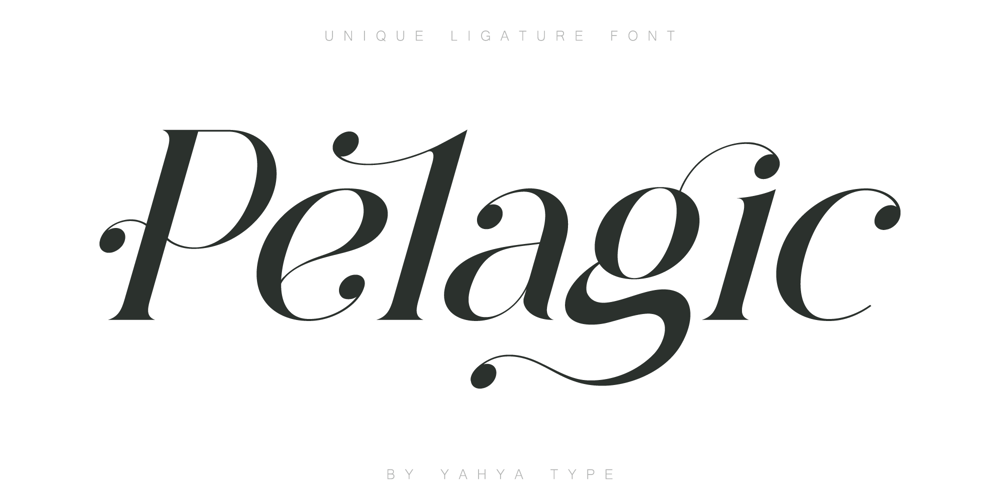 Pelagic Bird font