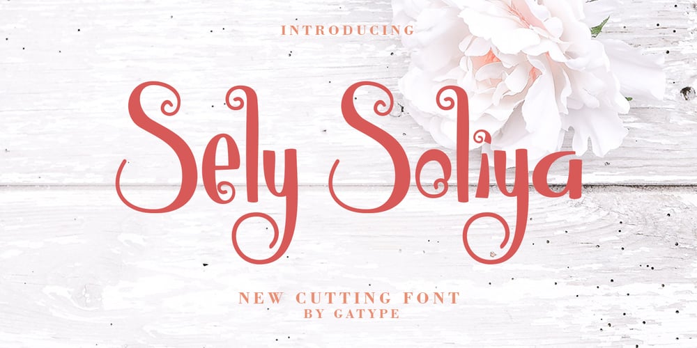 Sely Soliya font