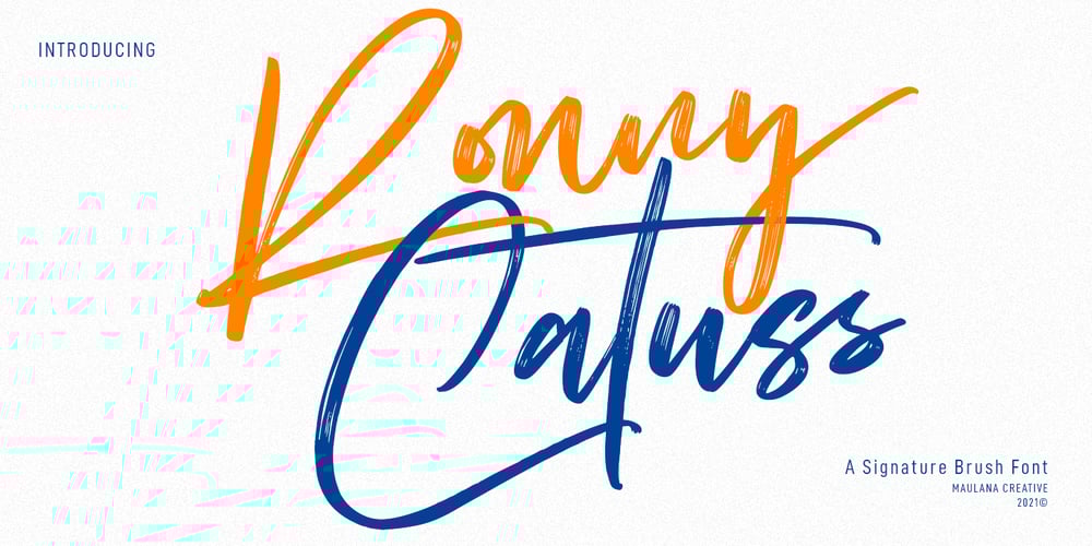 Ronny Catuss font