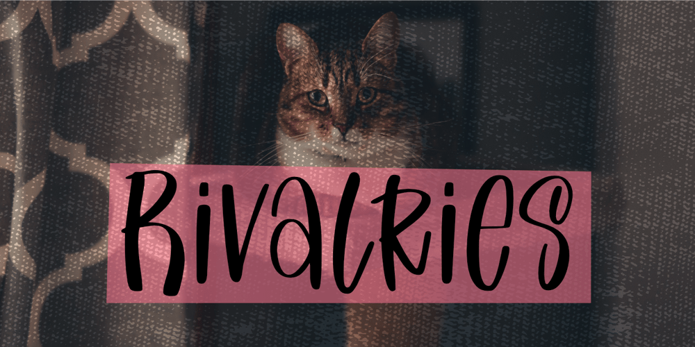 Rivalries font