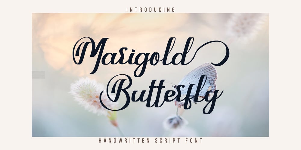 Marigold Butterfly font