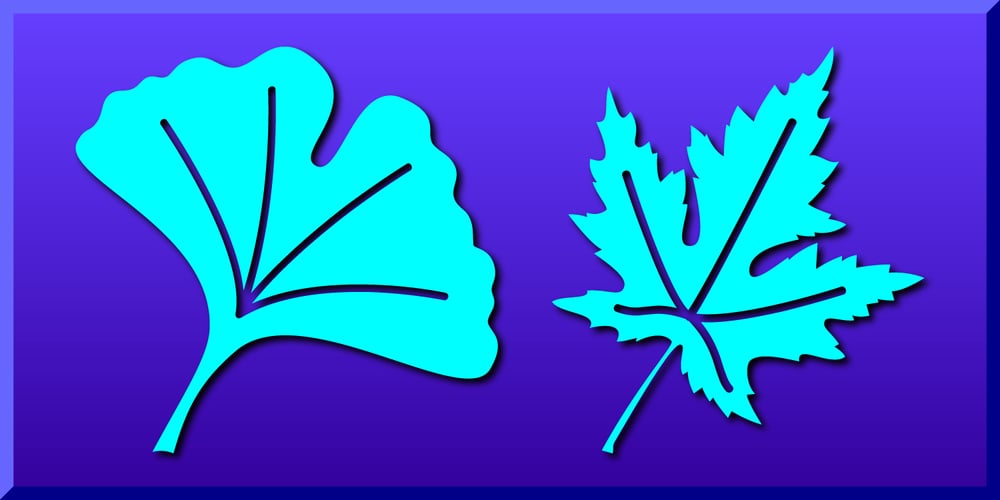 Leaf Assortment font