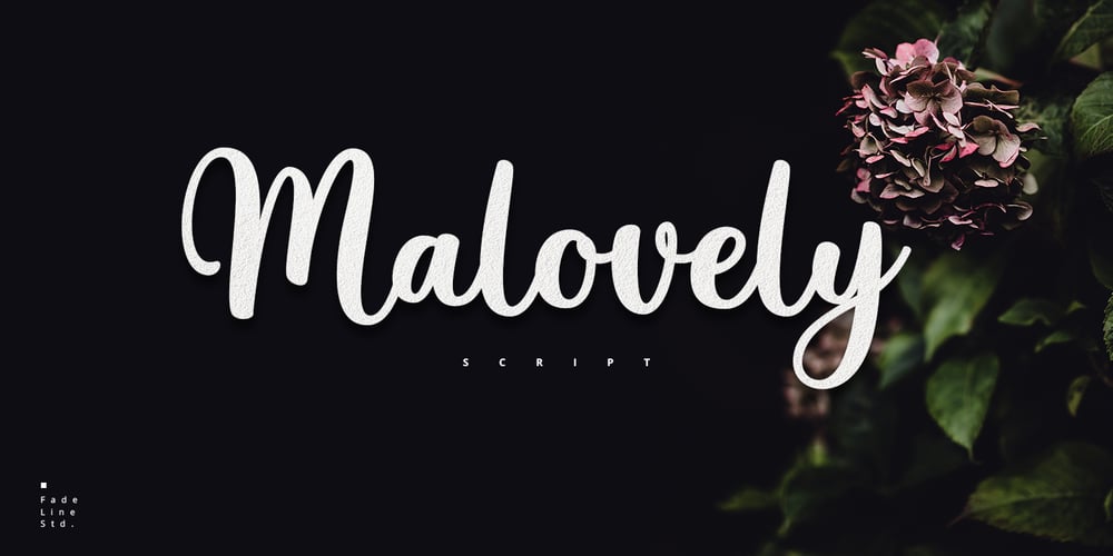 Malovely Script font