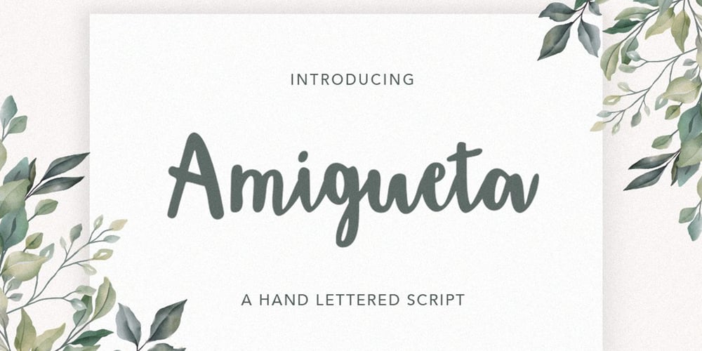 Amigueta Script font