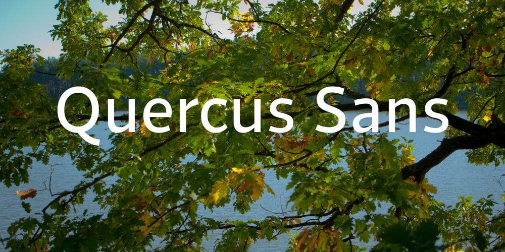 Quercus Sans font