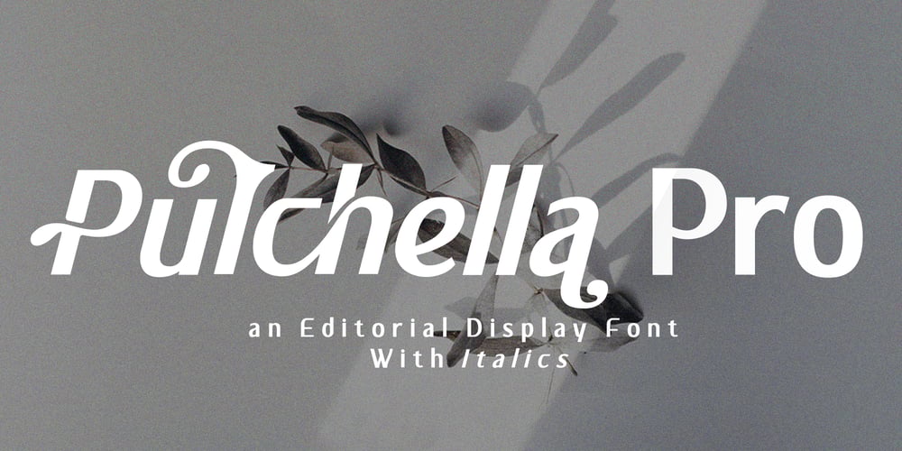 Pulchella Pro font