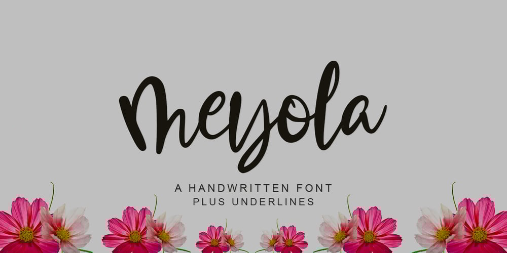 Meyola font