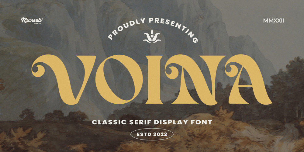 Voina font