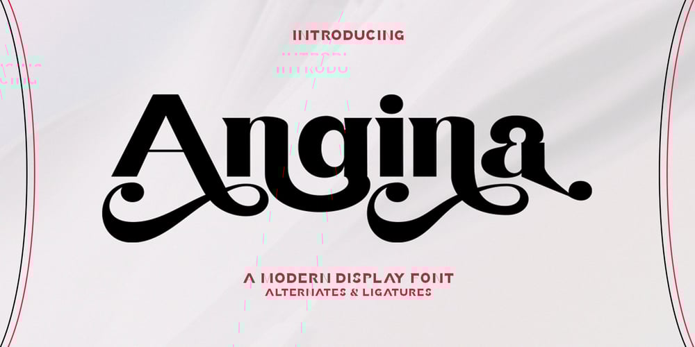 Angina Display font