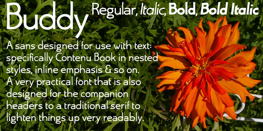 Buddy font