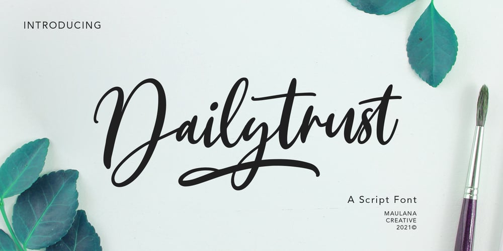 Dailytrust font