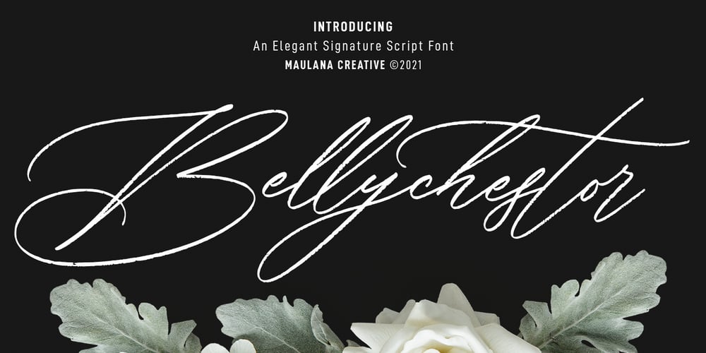 Bellychestor font