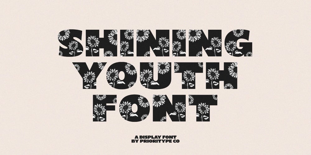 Shining Youth font