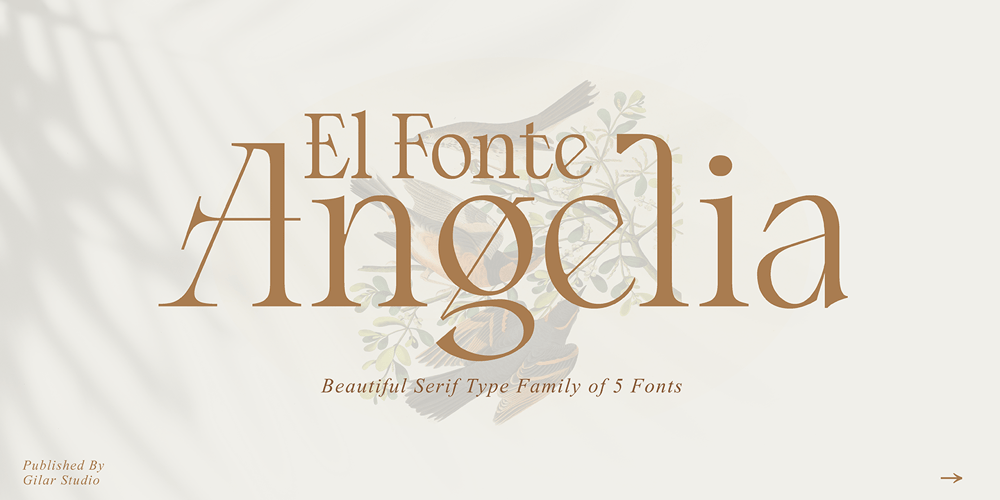 El Fonte Angelia font