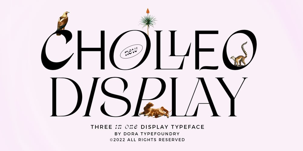 Cholleo font