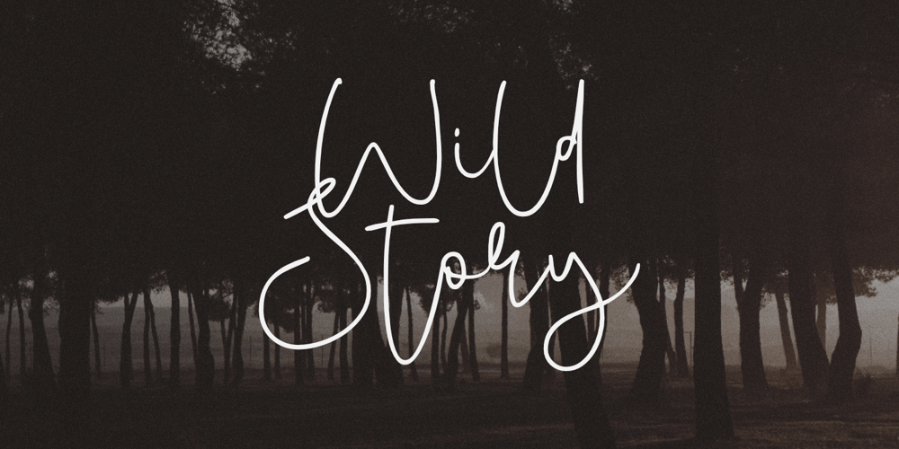 Wild Story font