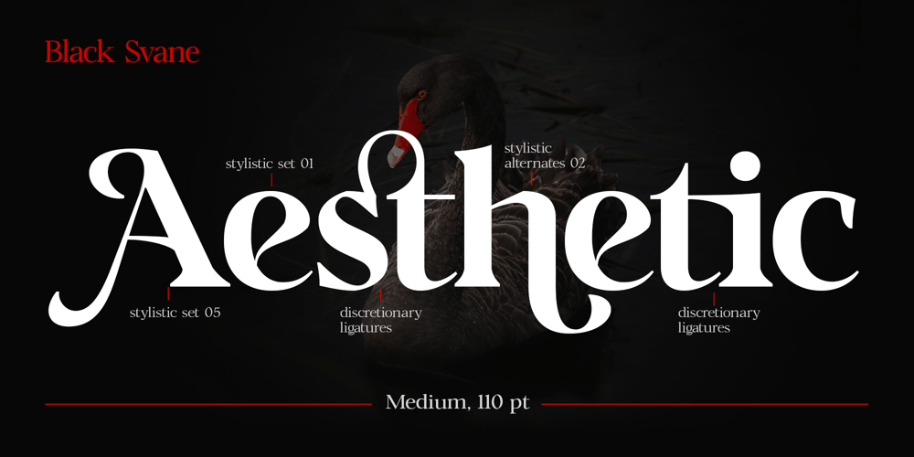 Black Svane font