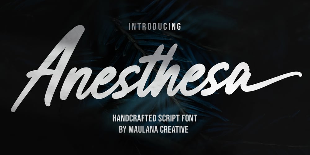 Anesthesa font