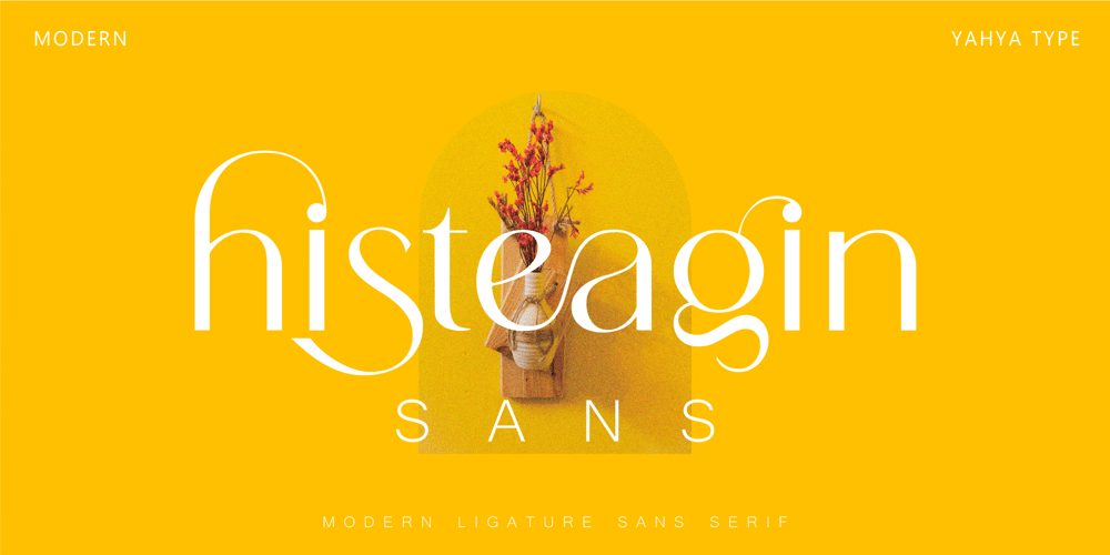 Histeagin Sans font