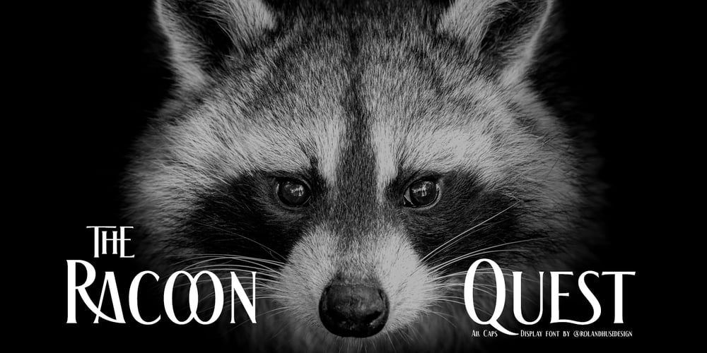 The Racoon Quest font