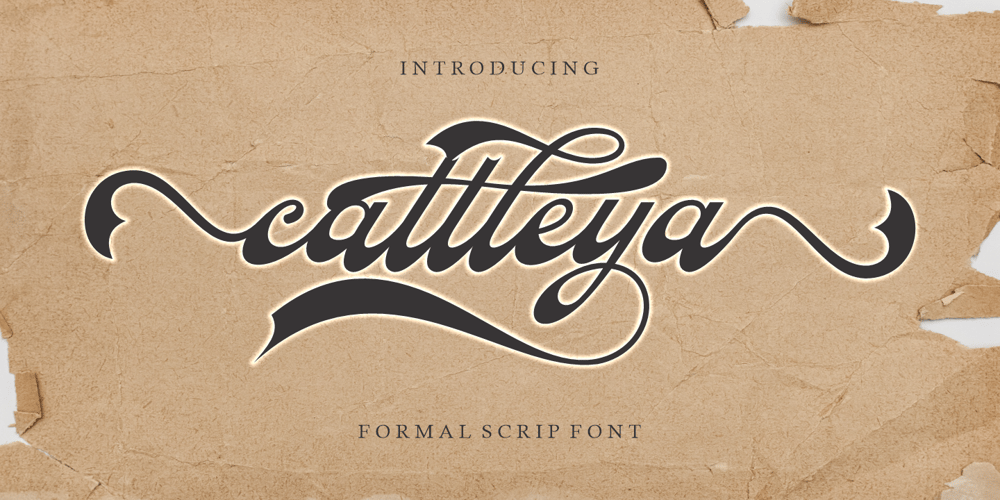 Cattleya font