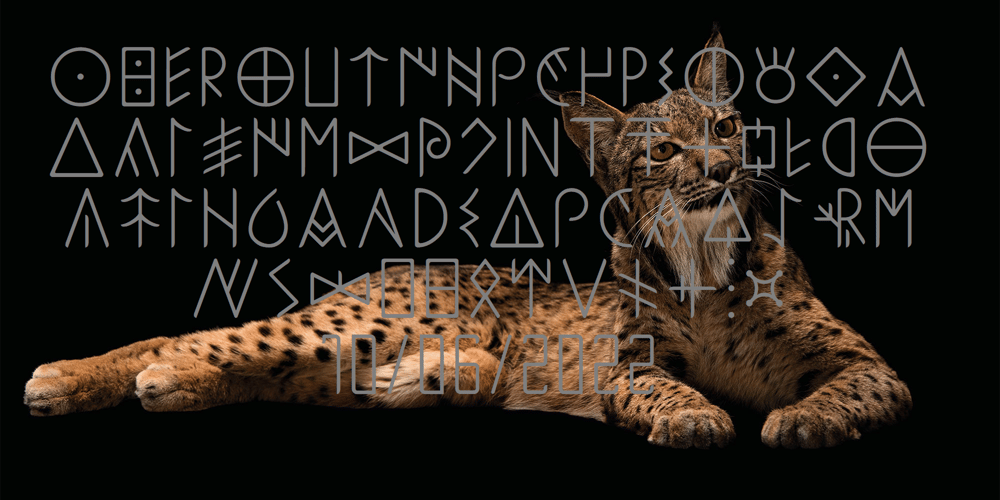 Ongunkan Iberian Script font