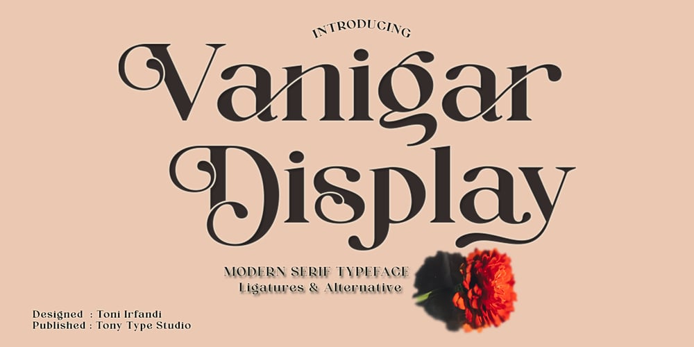 Vanigar Display font