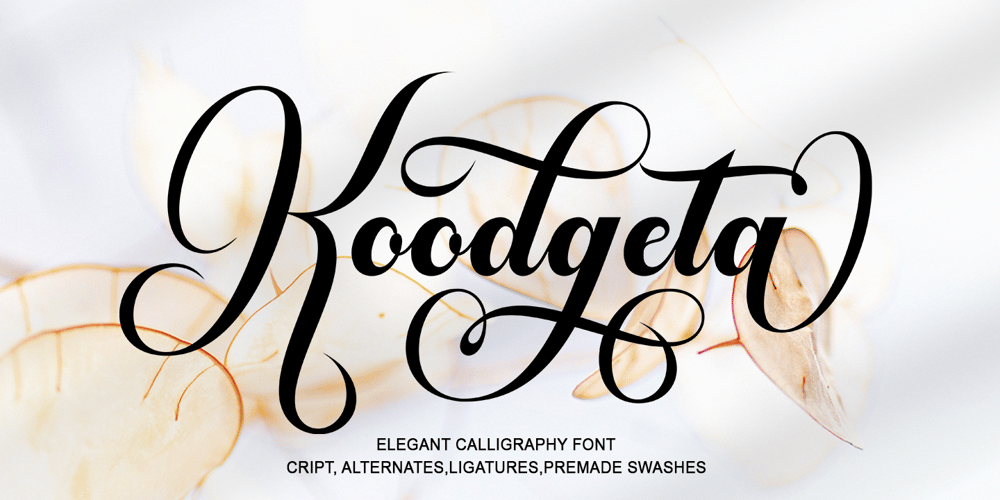 Koodgeta font