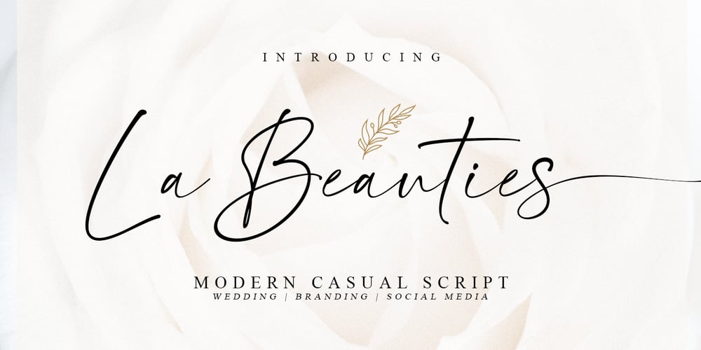 La Beauties font