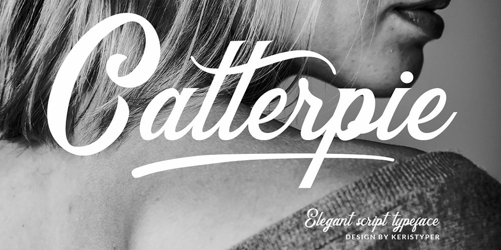 Catterpie font