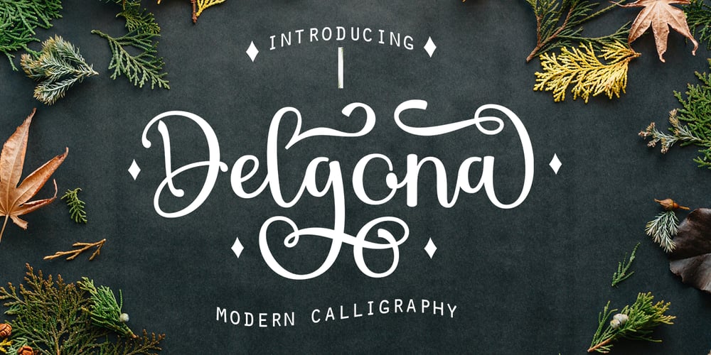 Delgona font