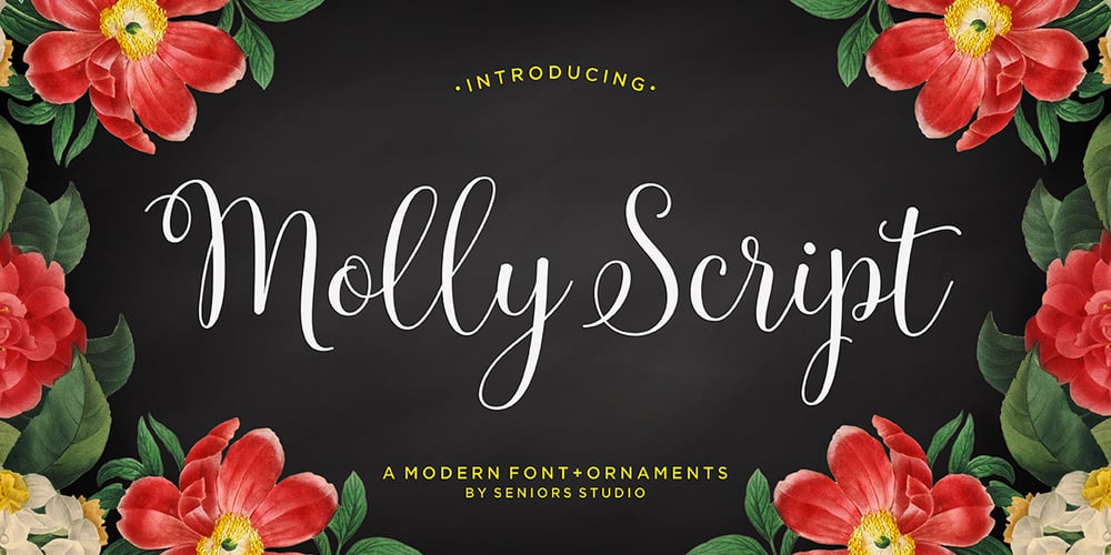 Molly Script font