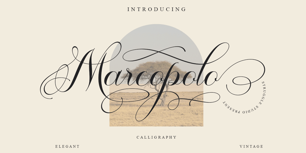Marcopolo font