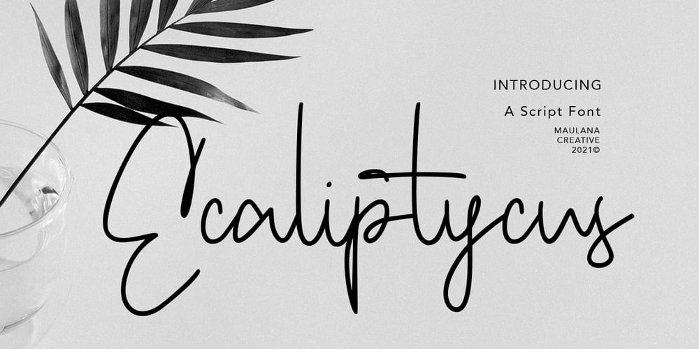 Ecaliptycus font