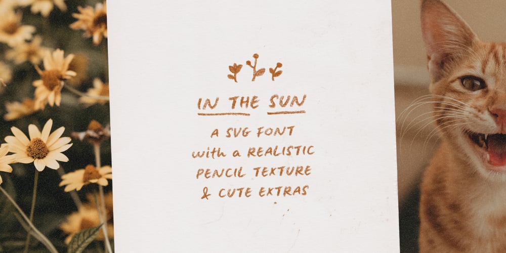 In The Sun font