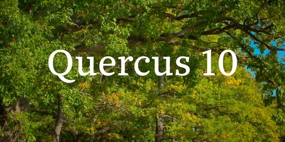 Quercus 10 font