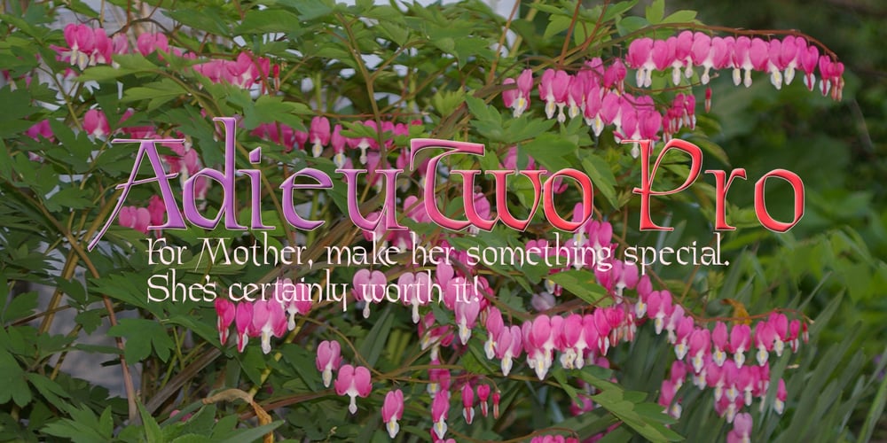 Adieu font