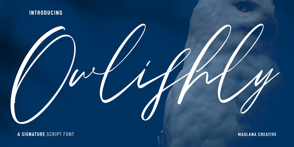 Owlishly font