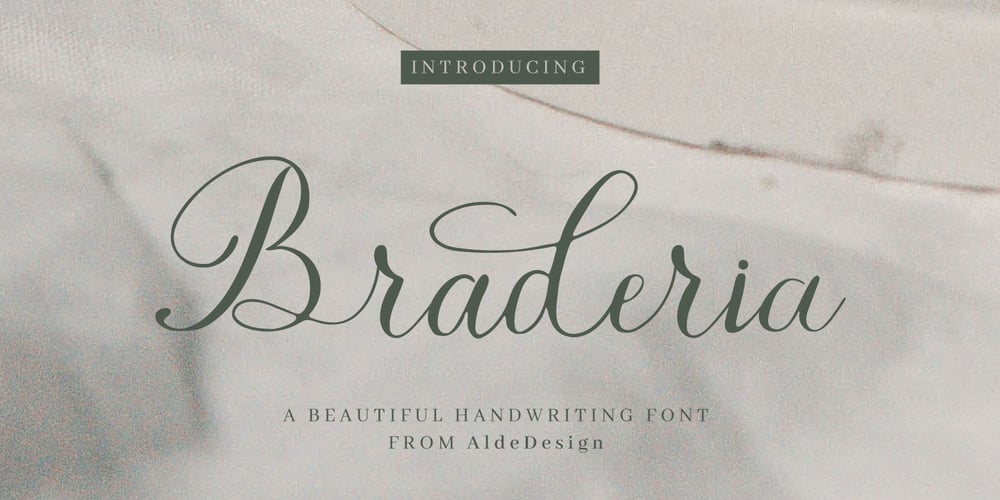 Braderia font