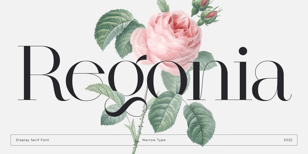 Regonia font