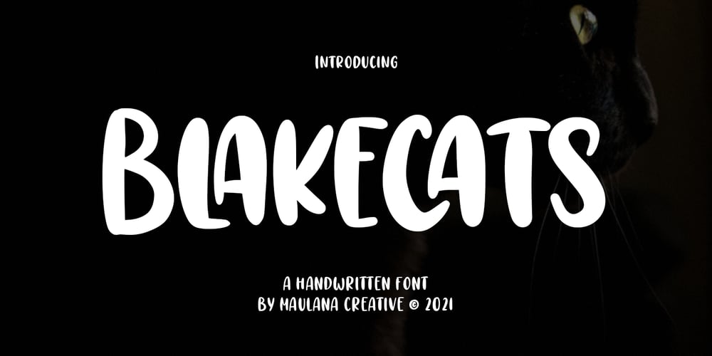 Blakecats font