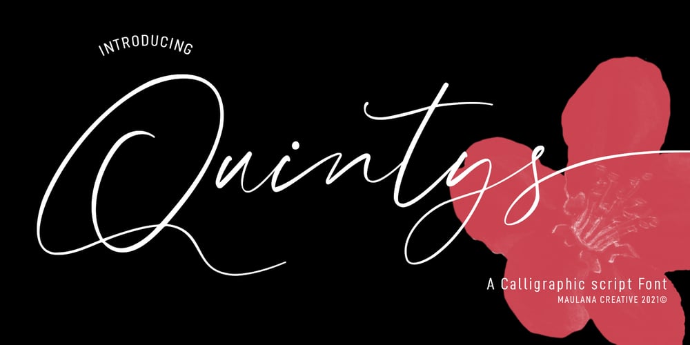 Quintys font