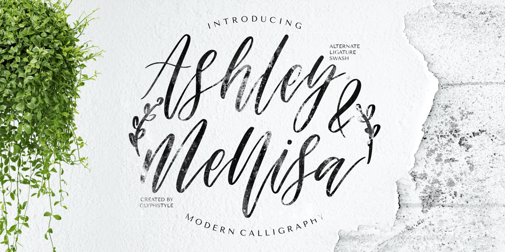 Ashley & Mellisa font